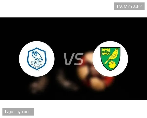 诺维奇新援表现抢眼，持续为球队注入新活力