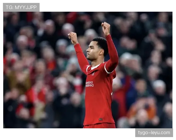 卢顿联赛杯逆转晋级，强势表现彰显竞争力提升