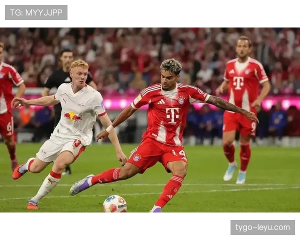 德甲劲旅迎实力新援，战力升级引球迷期待